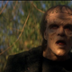 Tom Noonan as Frankenstein’s monster.